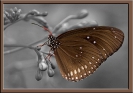 Farbtupfer_1