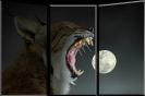 Triptychon_5